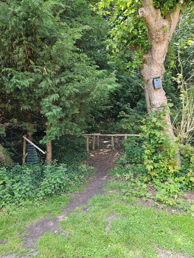 Zomerhuis Duinzicht Egmond aan den Hoef Exterior foto