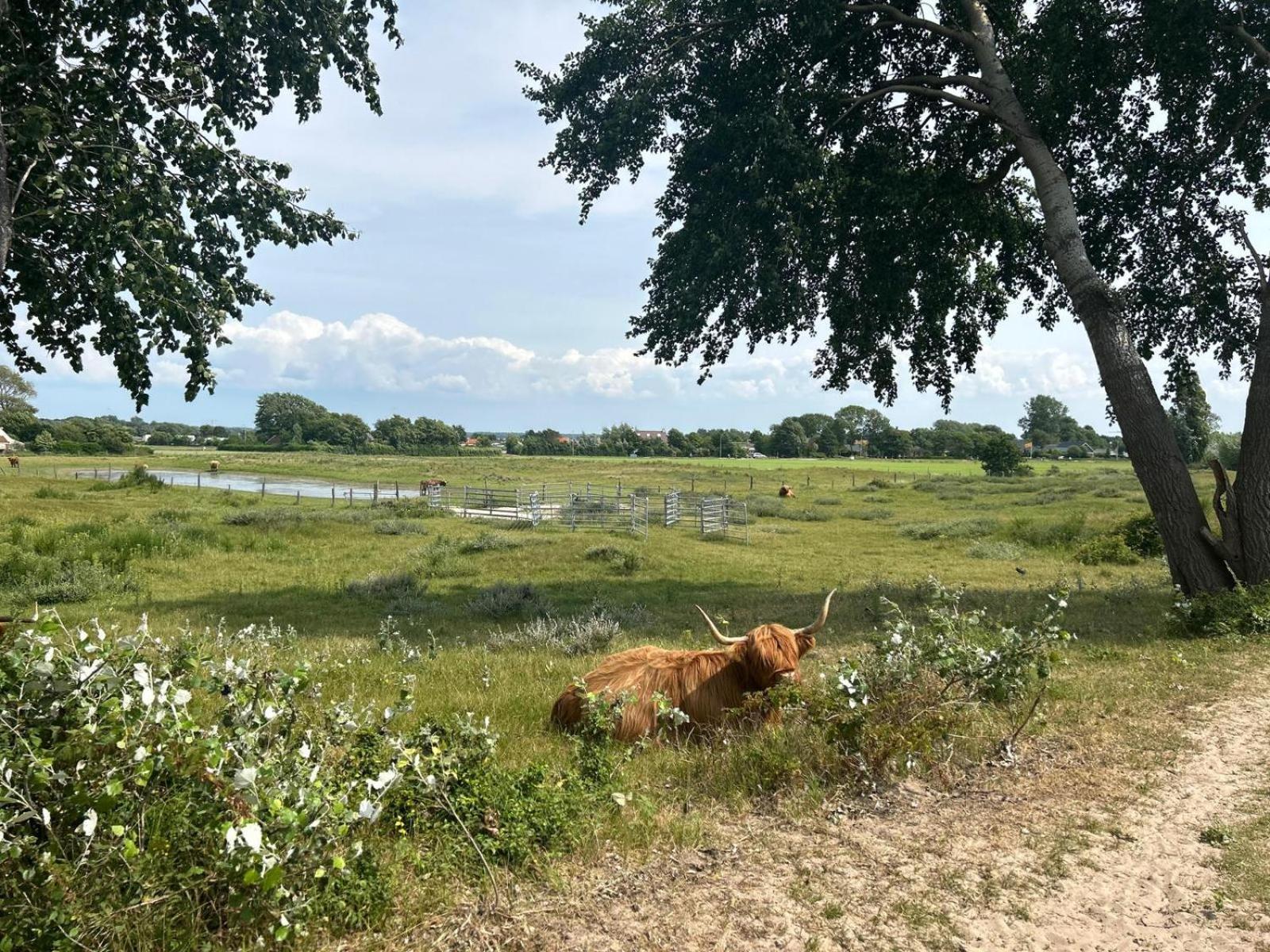 Zomerhuis Duinzicht Egmond aan den Hoef Exterior foto